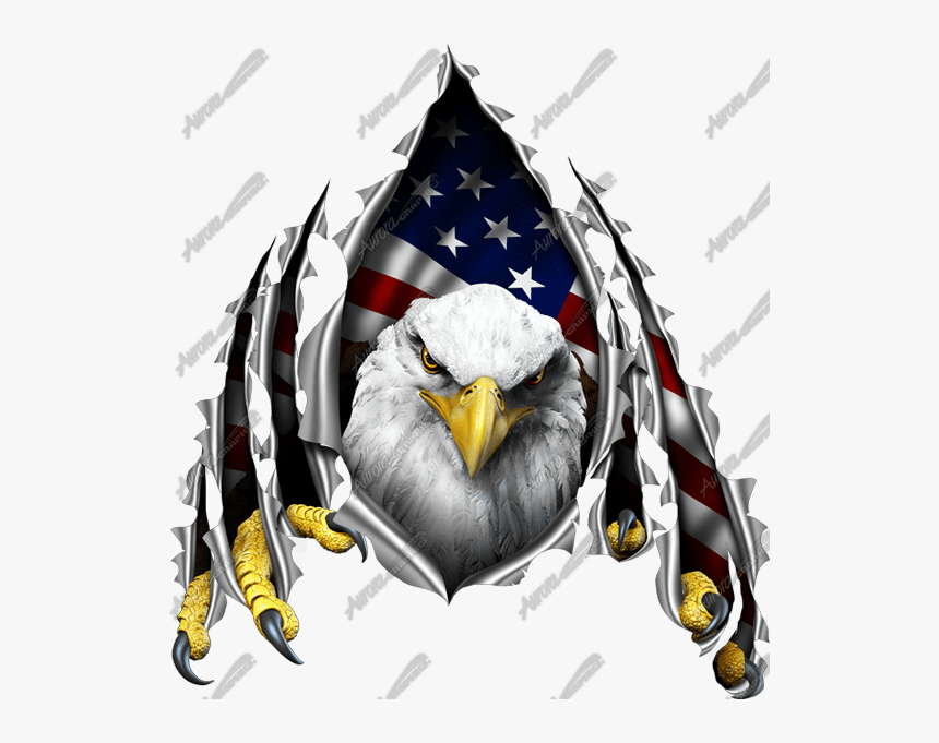 These Colors Don T Run Eagle, HD Png Download, Free Download