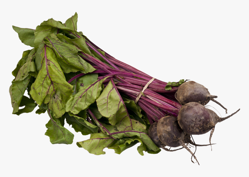 Beet Png - Sprouting Beets, Transparent Png, Free Download