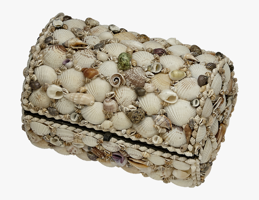 Natural Seashell Treasure Box - Seashell Large Treasure Box, HD Png Download, Free Download
