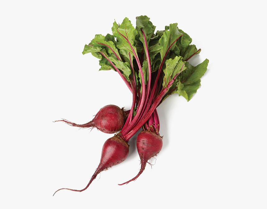 Beet Png Image Transparent Background - Beets Bunch, Png Download, Free Download