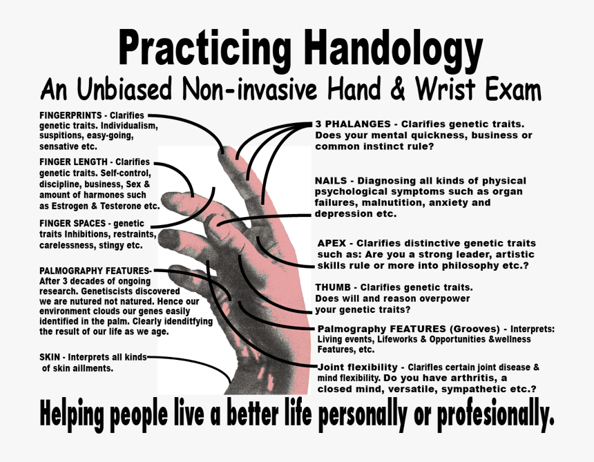 Handology Is A Non-invasive Exam Diagram Trnspt , Png - Poster, Transparent Png, Free Download