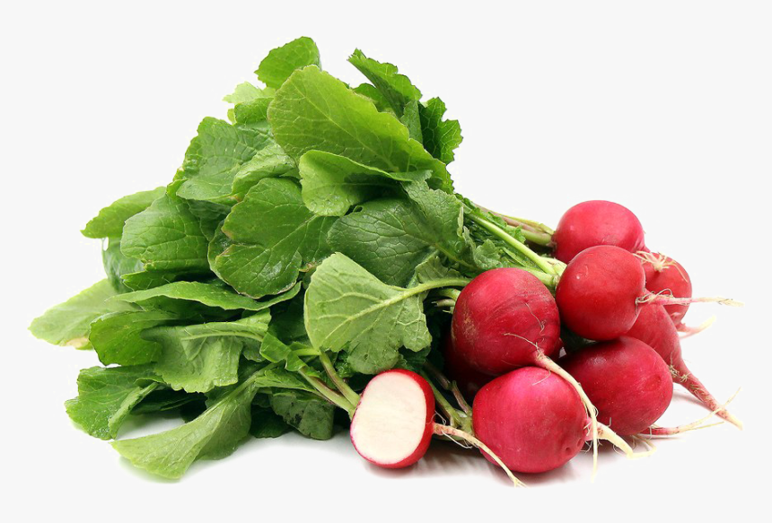 Beet-greens - Radish Png, Transparent Png, Free Download