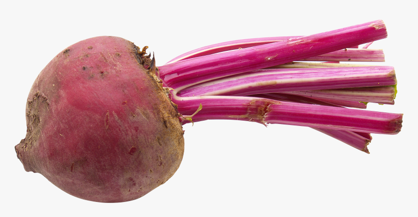 Beetroot Png, Transparent Png, Free Download