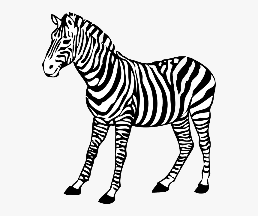 Zebra Clip Art At Clker - Zebra Clipart Black And White, HD Png Download, Free Download