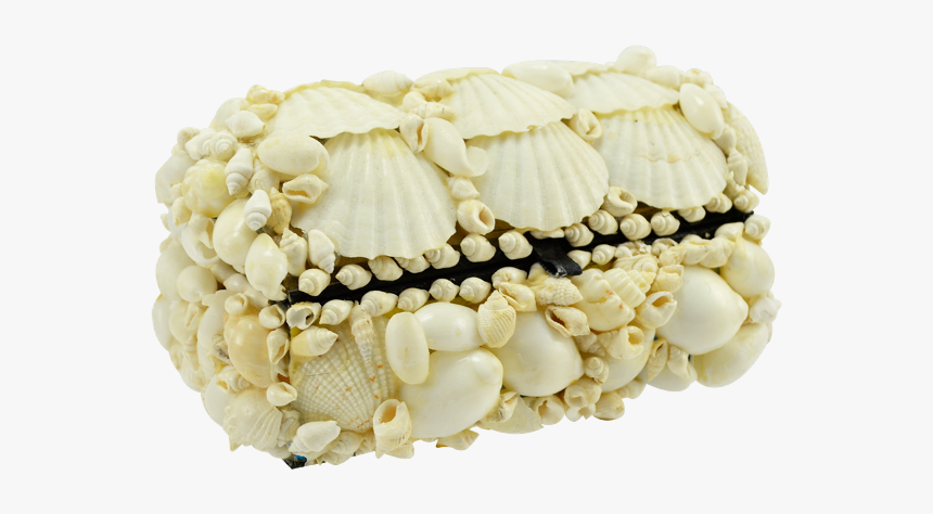 Seashell Treasure Box 6x4x3"-white - Bead, HD Png Download, Free Download