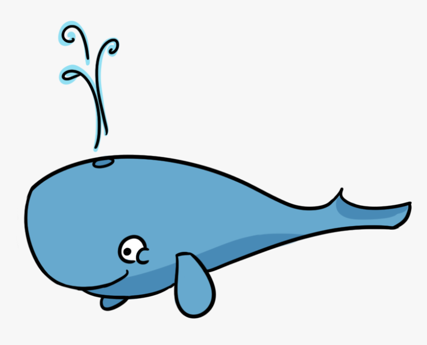 Baby Animal Clipart Real - Blue Whale Flashcard, HD Png Download, Free Download