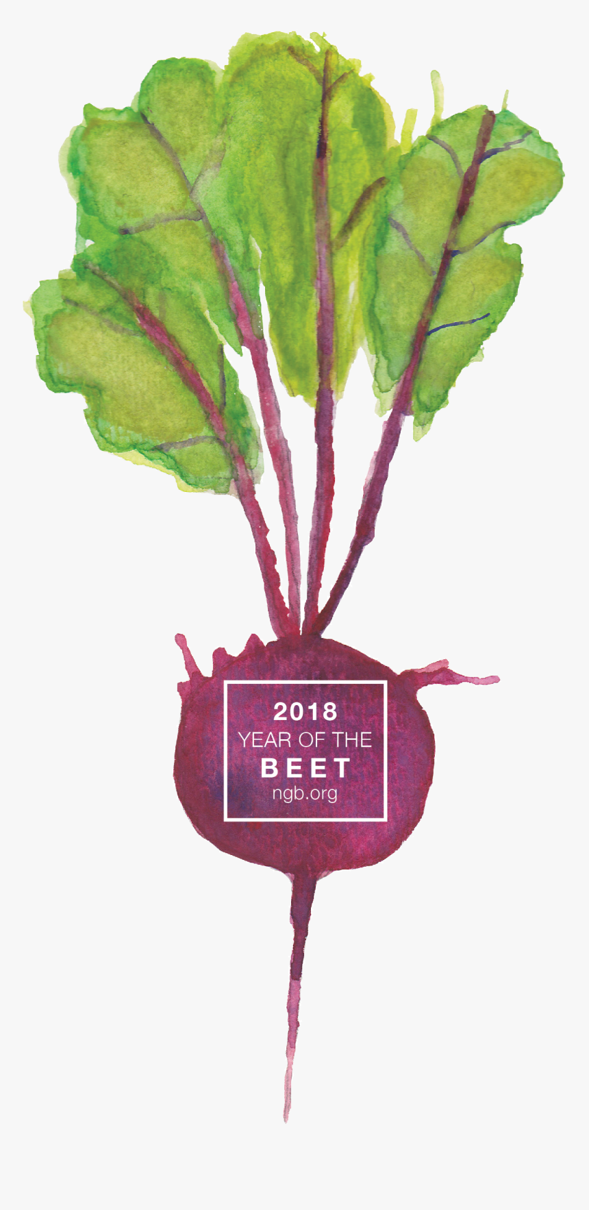 2018 Year Of The Beet - Chard, HD Png Download, Free Download