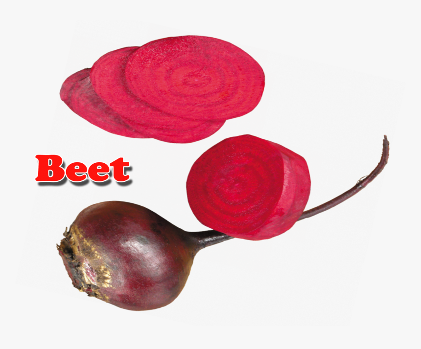 Beet Png Clipart - Vegetable, Transparent Png, Free Download