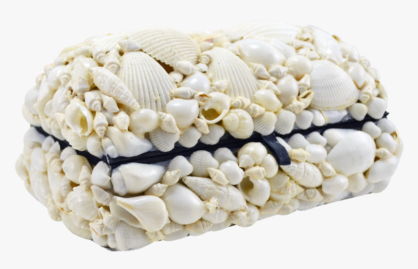 Treasure Box-white Ss - Treasure And Shells, HD Png Download, Free Download