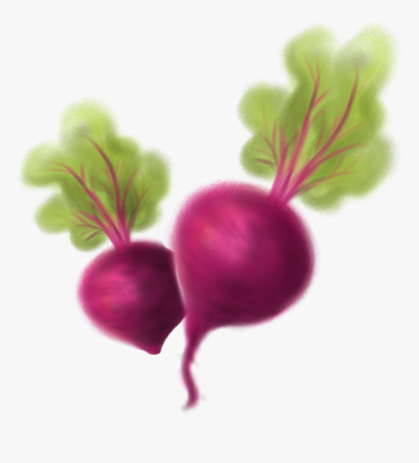 Beet Greens Clipart , Png Download - Beets Clipart, Transparent Png, Free Download
