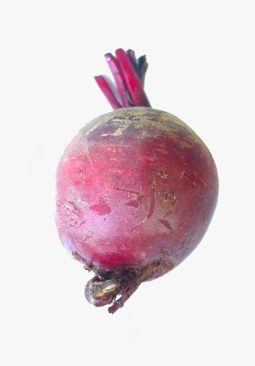 Beet Png - Sugarbeets Png, Transparent Png, Free Download