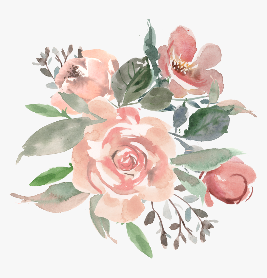 Hybrid Tea Rose, HD Png Download, Free Download