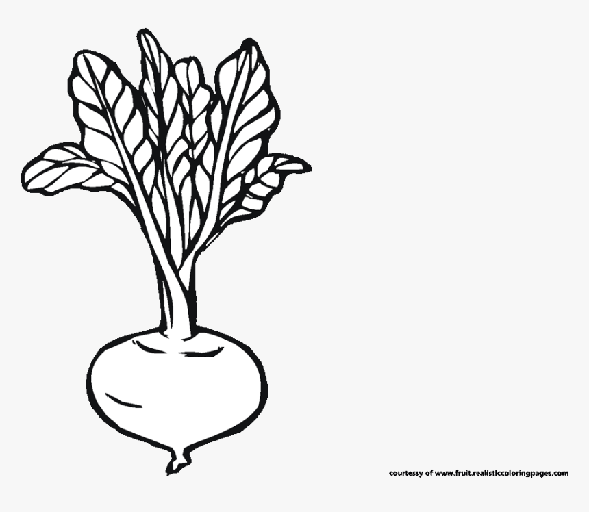 Beetroot Clipart Black And White, HD Png Download, Free Download