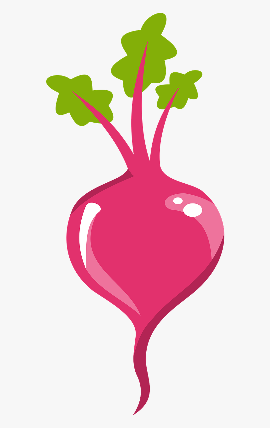 Heart,plant,leaf - Beet Clip Art, HD Png Download, Free Download