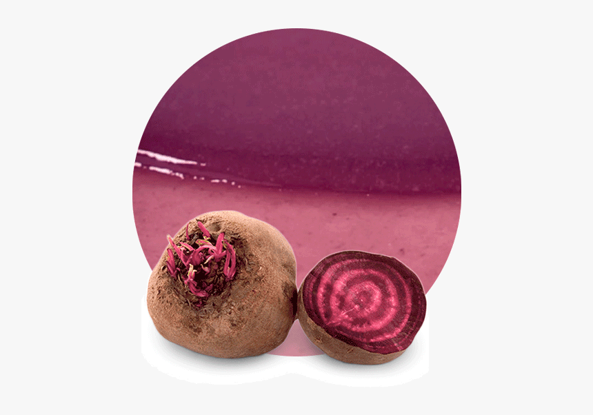 Beetroot, HD Png Download, Free Download