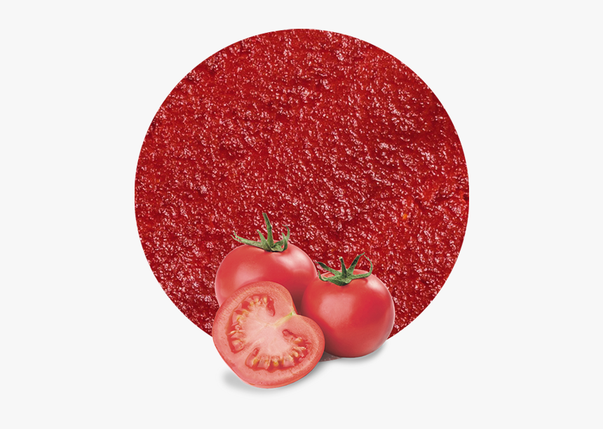 Plum Tomato, HD Png Download, Free Download