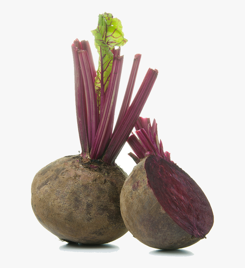 Transparent Beetroot Png - Beetroot, Png Download, Free Download