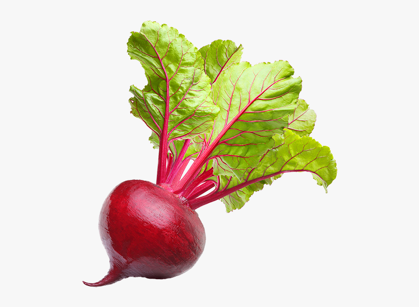 Beet, HD Png Download, Free Download