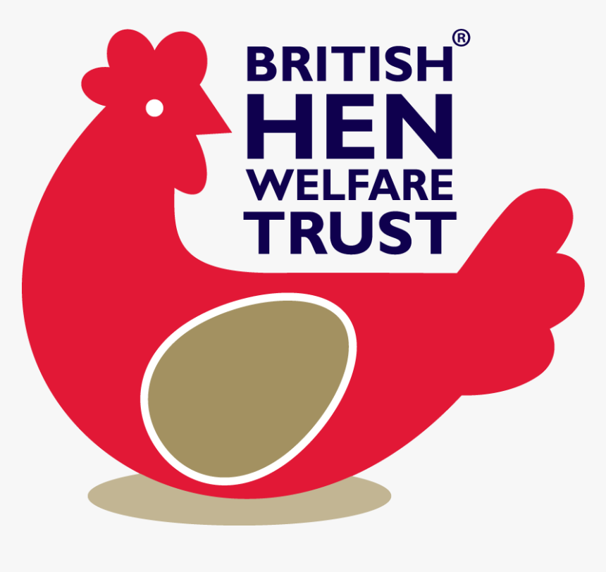 Giving Battery Hens A Fresh Start In Life, With Help - British Hen Welfare Trust, HD Png Download, Free Download