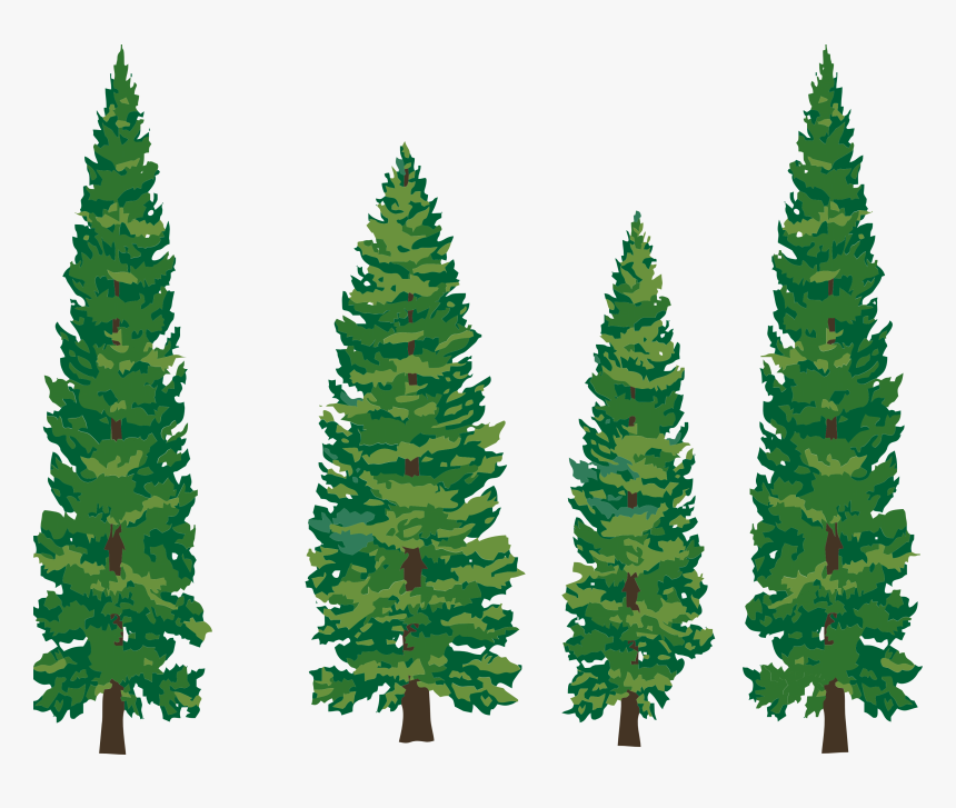 Clip Art Pine Tree - Transparent Background Pine Trees Clipart, HD Png Download, Free Download
