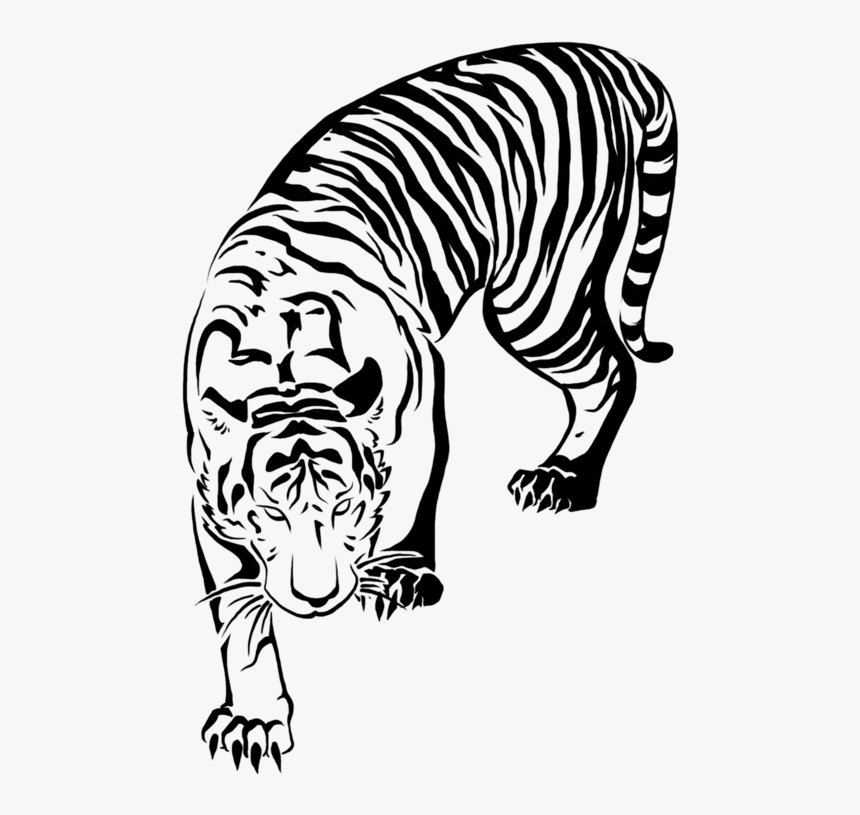 498 X 735 - Tiger Drawing No Background, HD Png Download, Free Download