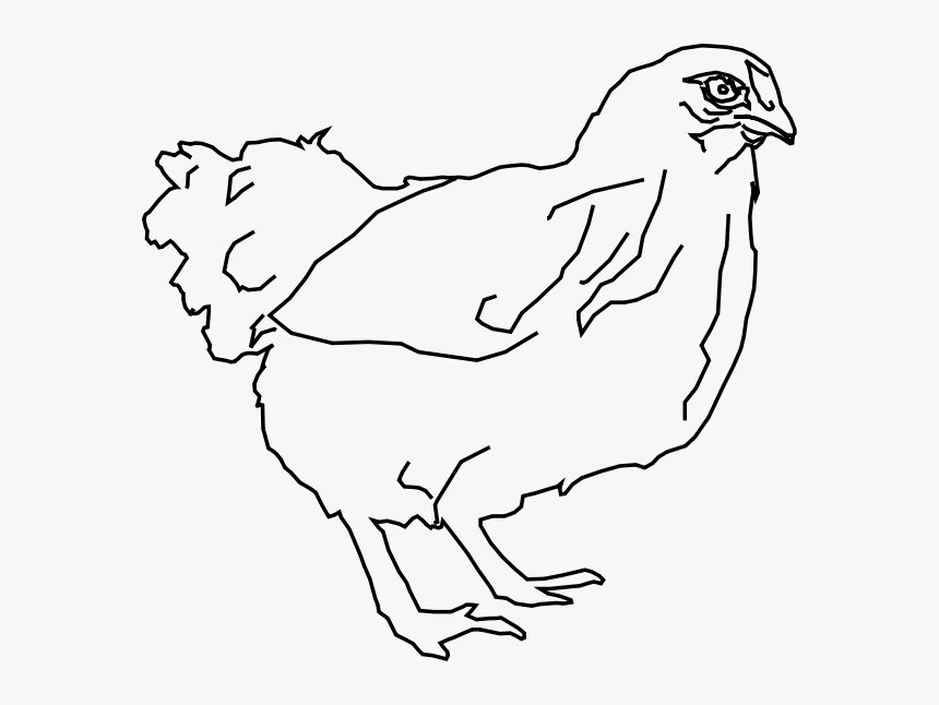 Chicken Png Clip Arts - Hen Pic In Clipart Black And White, Transparent Png, Free Download