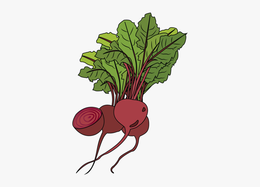 Beet Greens, HD Png Download, Free Download