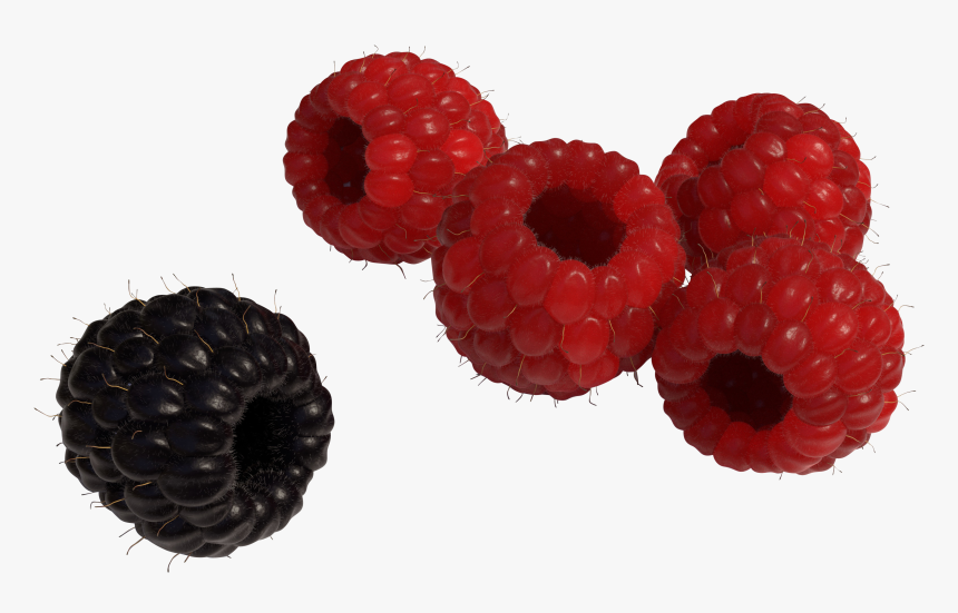 Red And Black Raspberry Png Image - Black Raspberry Png, Transparent Png, Free Download