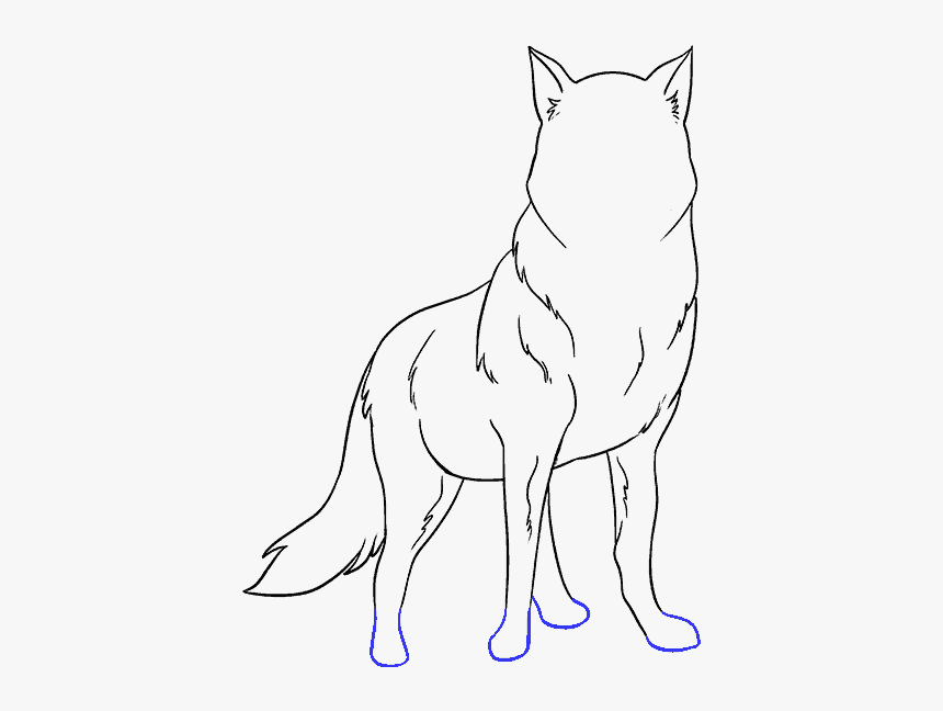 How To Draw Wolf - Drawing, HD Png Download, Free Download