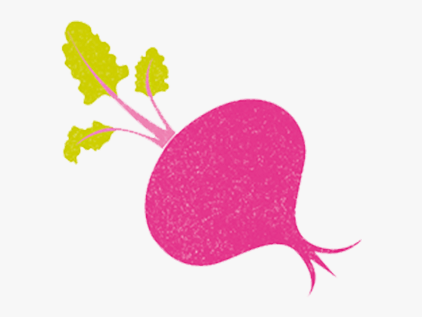 Clip Art Download Beetroot With Yorkshire Provender - Beet Greens, HD Png Download, Free Download