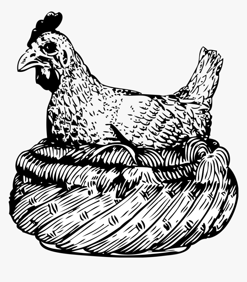 Old Hen In A Basket Png Clip Arts - Hen In A Basket, Transparent Png, Free Download