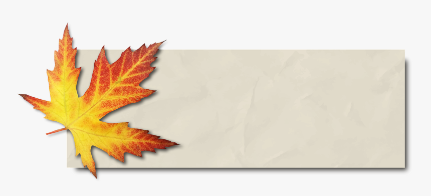 Autumn Banner Png, Transparent Png, Free Download