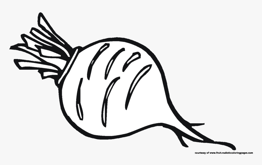 Png Download Beet Drawing Black And White - Beetroot Clipart Black And White, Transparent Png, Free Download