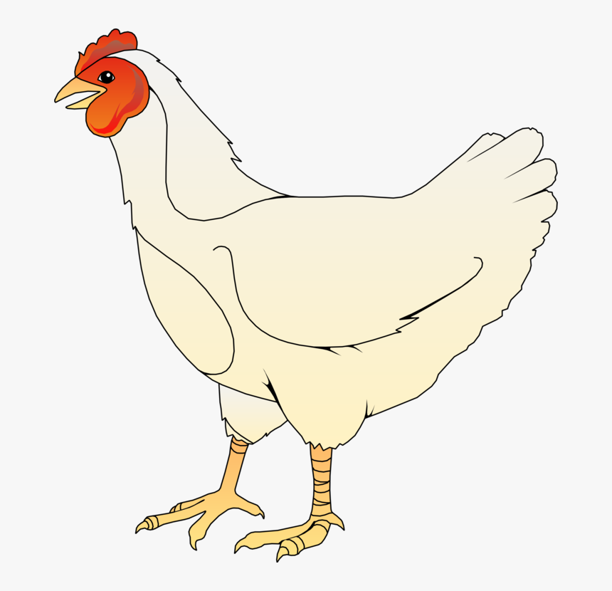 Chicken Svg Clip Arts - Chicken Clipart, HD Png Download, Free Download