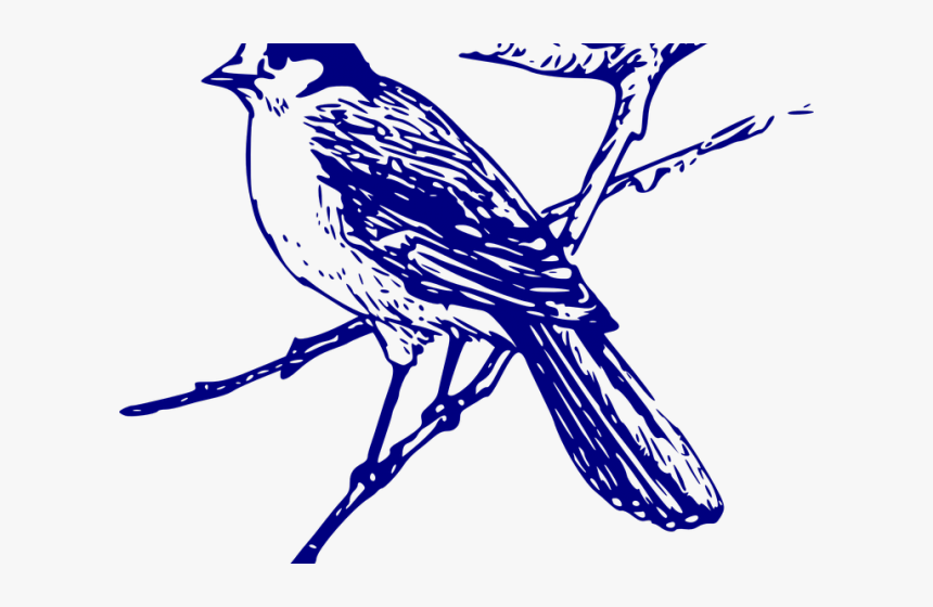 Blue Jay Clipart Vector - Transparent Background Bluebird Clipart, HD Png Download, Free Download