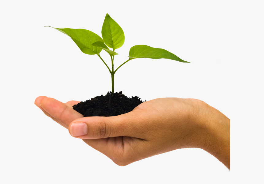 Soil In Hand Png - Plant In Hand Png, Transparent Png, Free Download