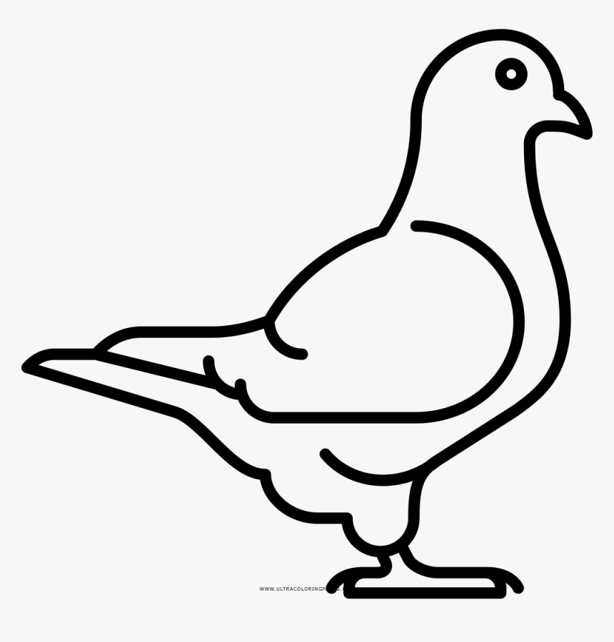 Paloma Para Colorear - White Pigeon Icon Png, Transparent Png, Free Download