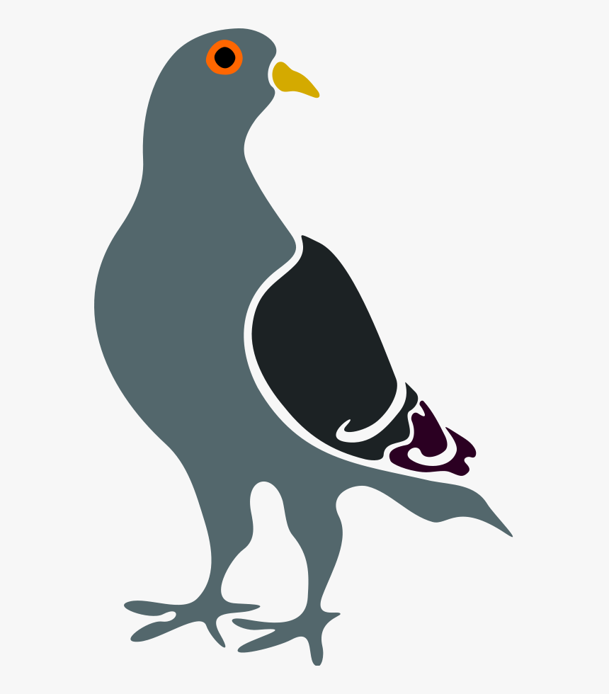 Clip Art A Self - Pigeon Clipart, HD Png Download, Free Download