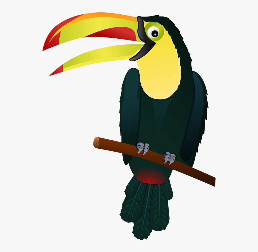Art,coraciiformes - Toucan Clipart Transparent Background, HD Png Download, Free Download