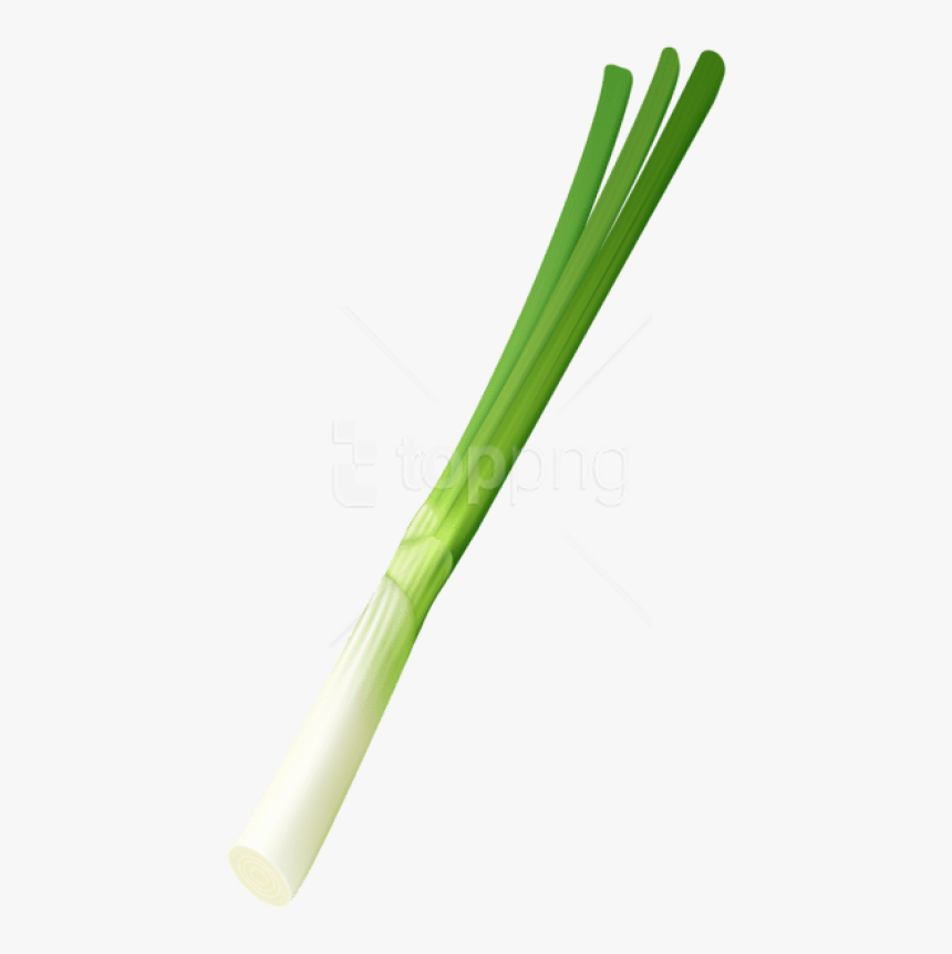 Leek,welsh Family,flowering Plant,food,produce,ramp - Pipe, HD Png Download, Free Download