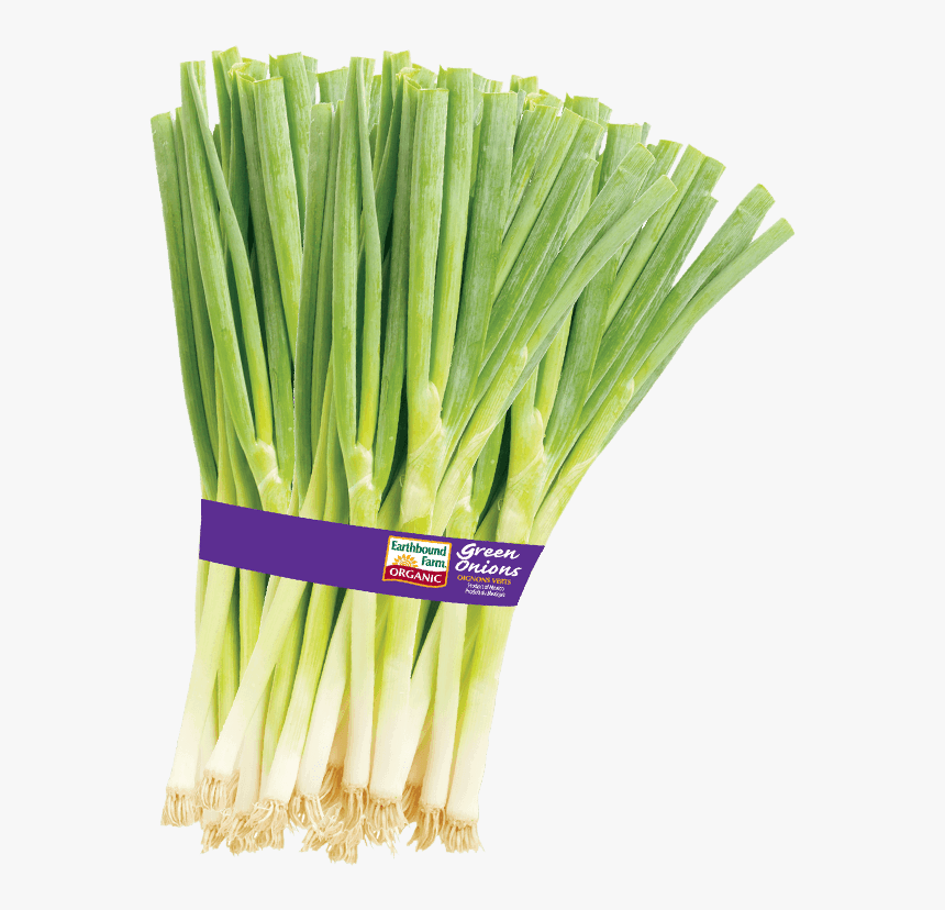 Fresh Organic Green Onions - Organic Green Onions, HD Png Download, Free Download