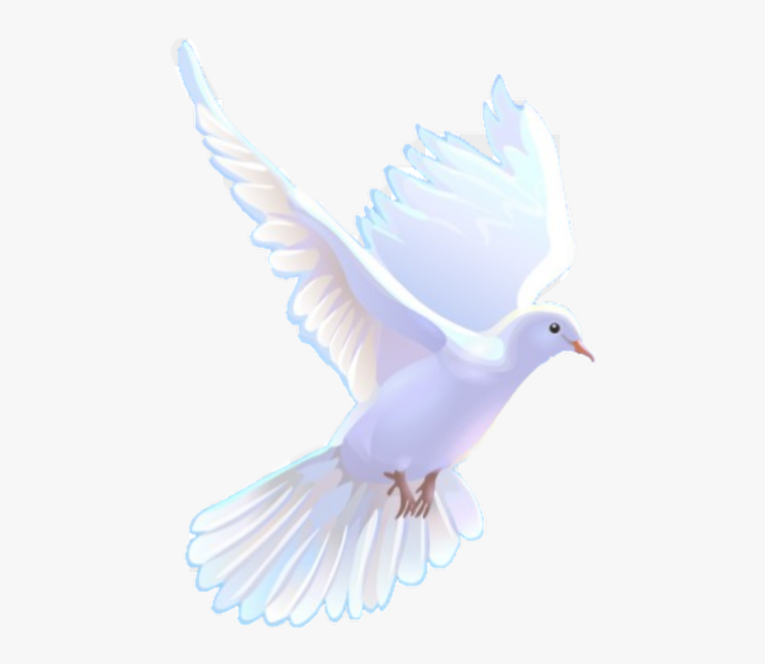 Paloma Freetoedit - Holy Spirit, HD Png Download, Free Download