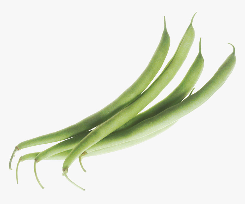 Green Beans - Green Beans Png, Transparent Png, Free Download