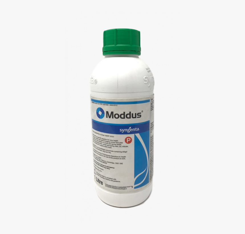 Moddus 1l - Bottle, HD Png Download, Free Download
