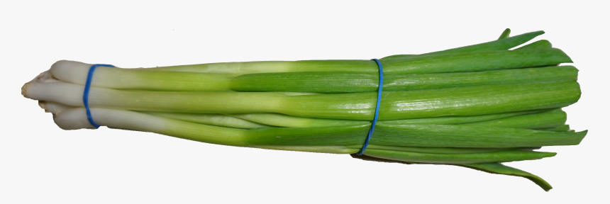 Scallion 2 - Scallions Png, Transparent Png, Free Download