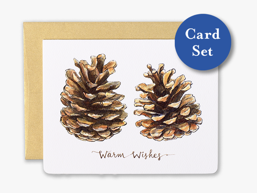 Pinecones Warm Wishes Card Set Of - Warm Wishes, HD Png Download, Free Download