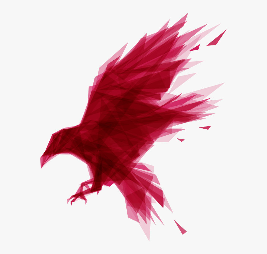 Transparent Raven Feather Png - Ravendb, Png Download, Free Download