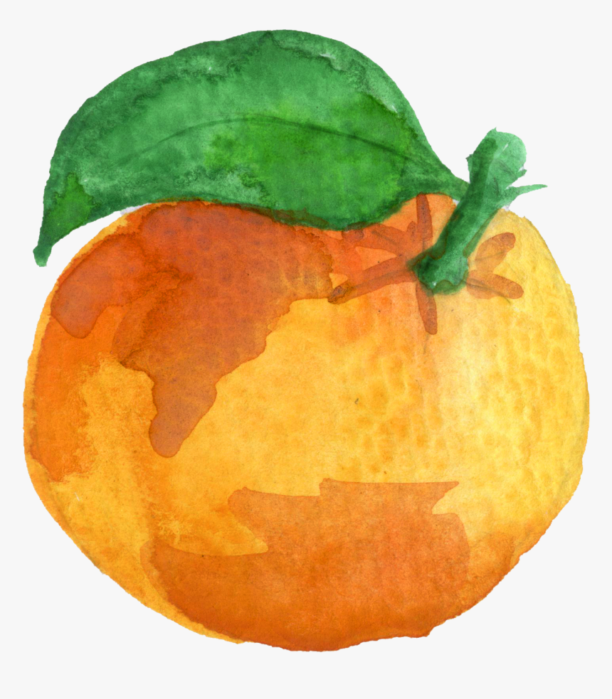 Watercolor-orange - Oranges Watercolor Clipart, HD Png Download, Free Download