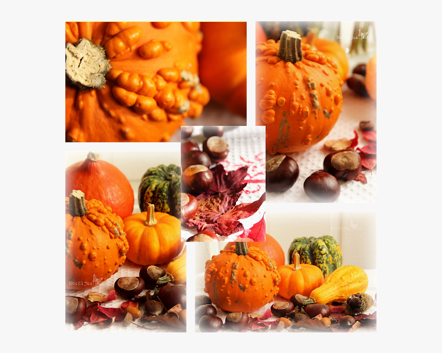 Pumpkin, HD Png Download, Free Download