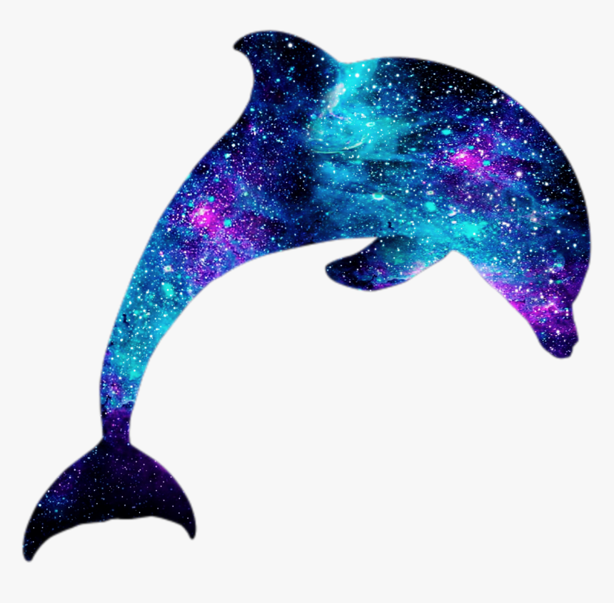 #delfin #galaxia #scdolphin #dolphin #silhouette #silueta - Silhouette, HD Png Download, Free Download